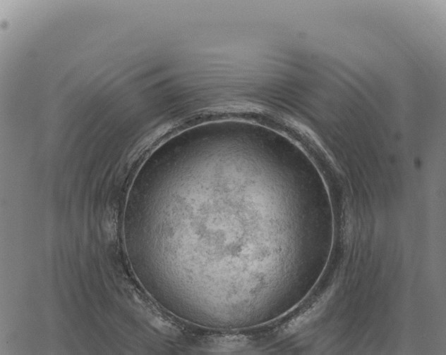 X0000063480833200601271652