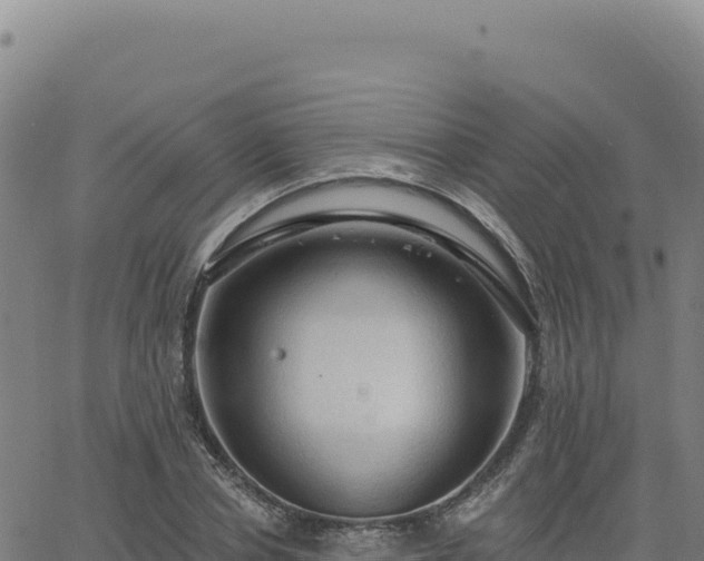 X0000063480834200601271652