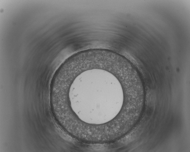 X0000063480836200601271652