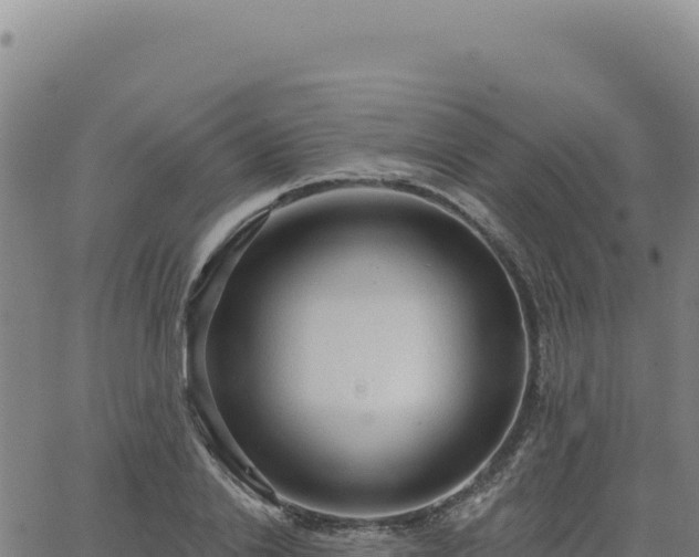 X0000063480838200601271652