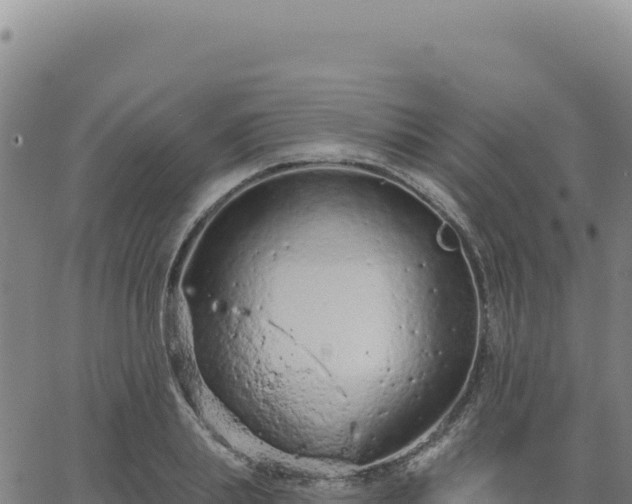 X0000063480839200601271653