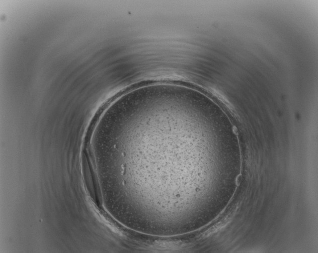 X0000063480840200601271653