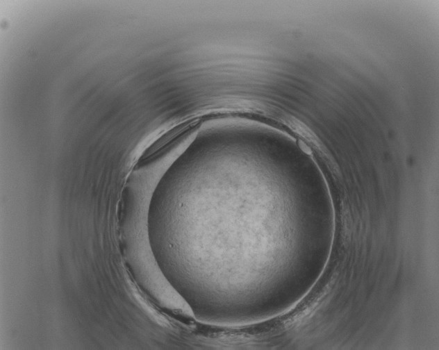 X0000063480842200601271653