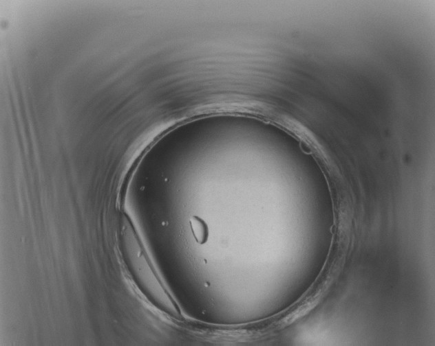 X0000063480844200601271653