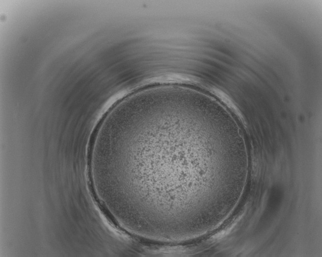 X0000063480845200601271653