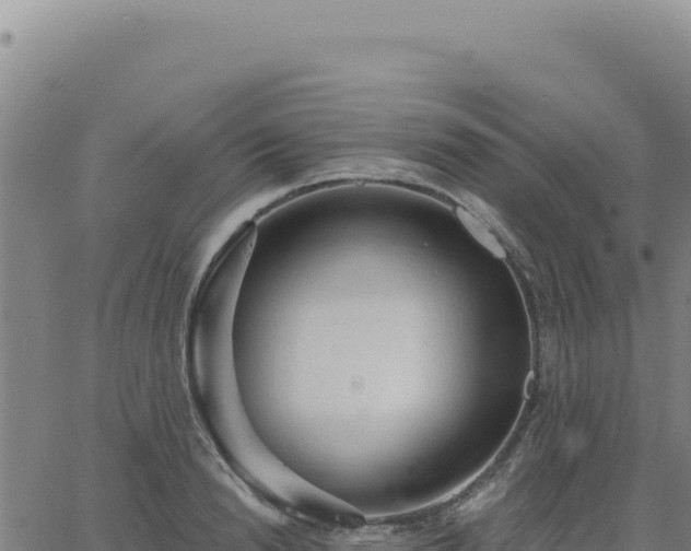 X0000063480846200601271653