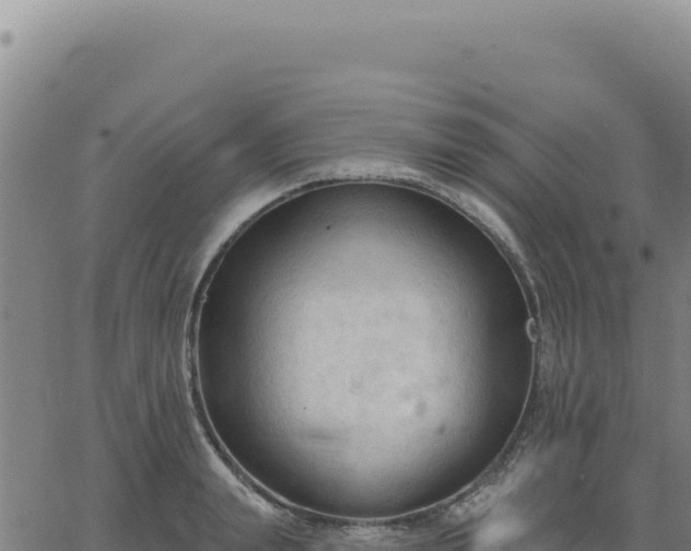 X0000063480847200601271653