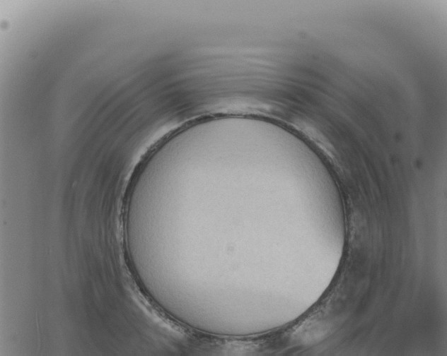 X0000063480848200601271653