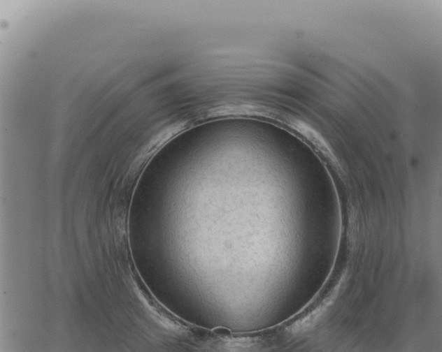 X0000063480849200601271653