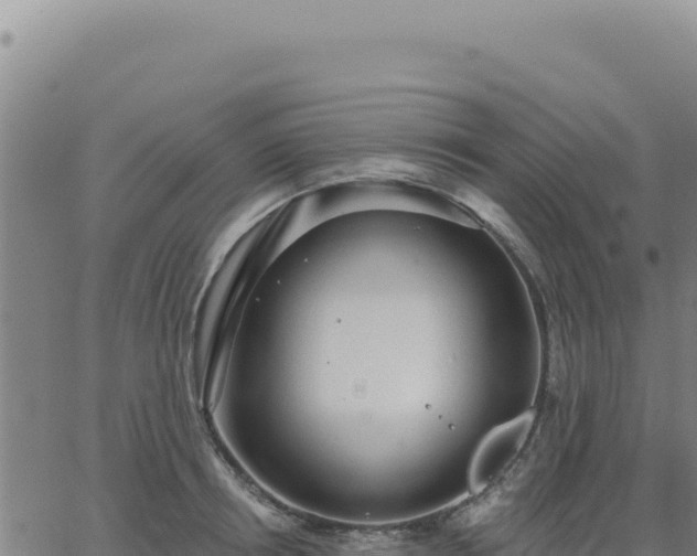 X0000063480850200601271653