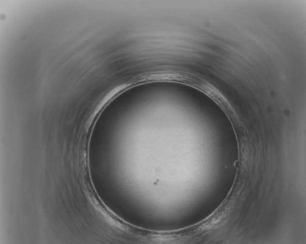 X0000063480852200601271653