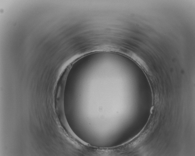 X0000063480854200601271653