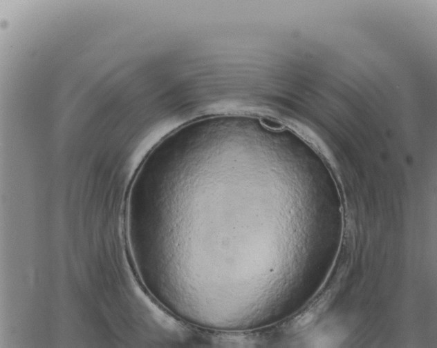 X0000063480855200601271653