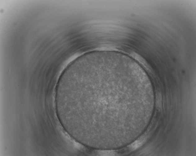 X0000063480856200601271653