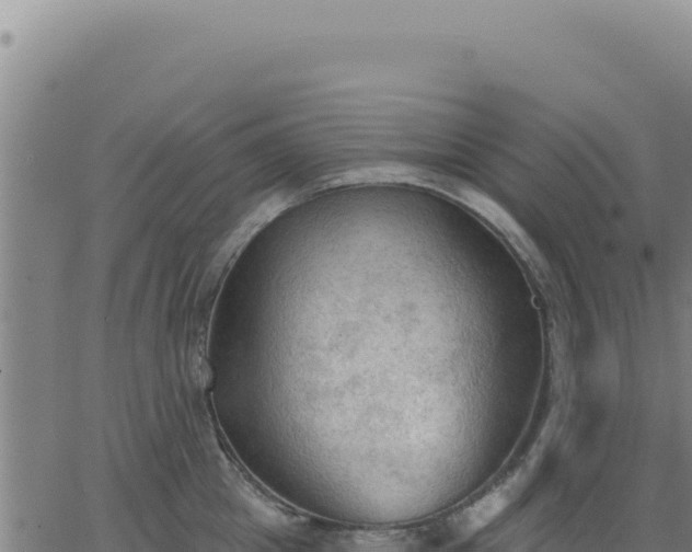 X0000063480857200601271653