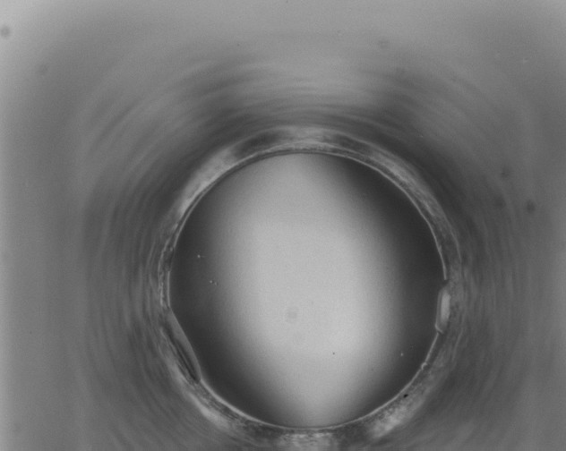 X0000063480858200601271653