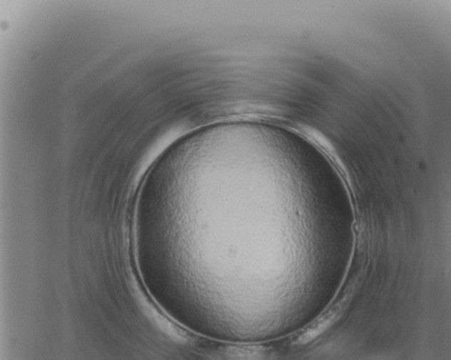 X0000063480859200601271653