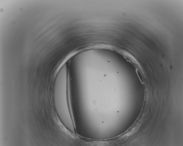 X0000063480860200601271653