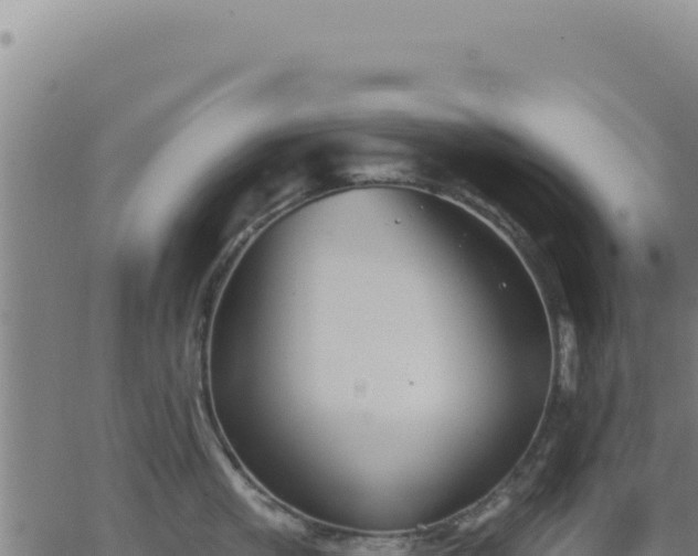 X0000063480861200601271653