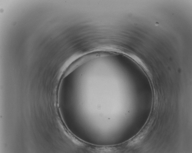 X0000063480862200601271653