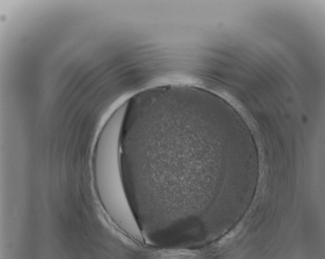 X0000063480864200601271653