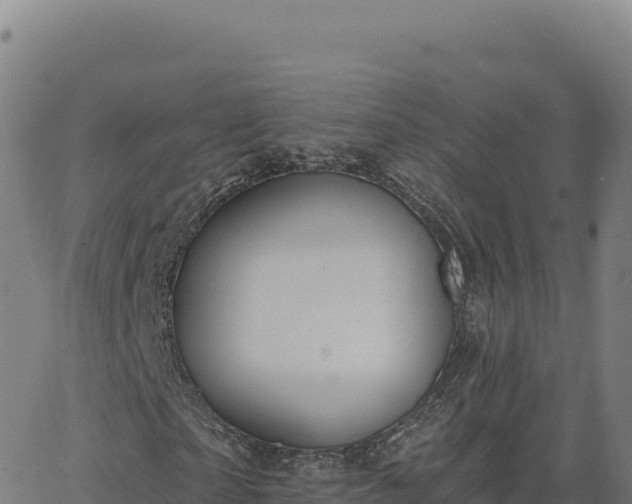 X0000063480865200601271652