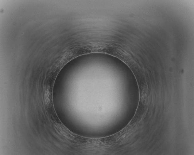 X0000063480866200601271652