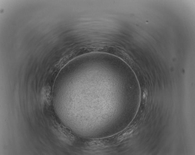 X0000063480867200601271652