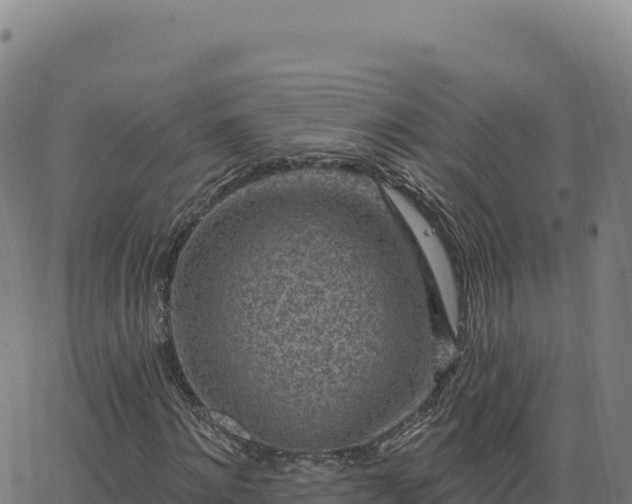 X0000063480868200601271652