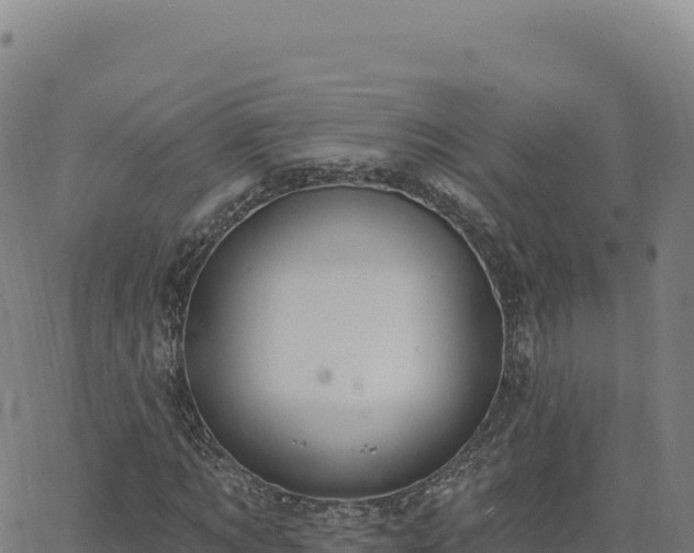 X0000063480869200601271652