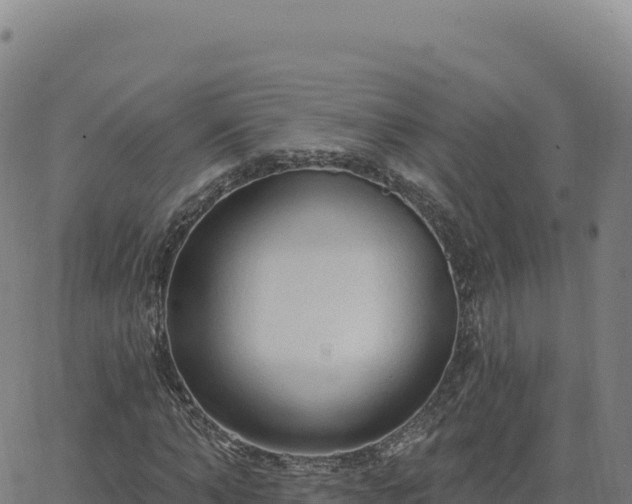 X0000063480870200601271652