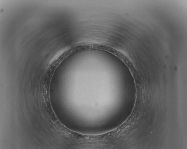 X0000063480871200601271652