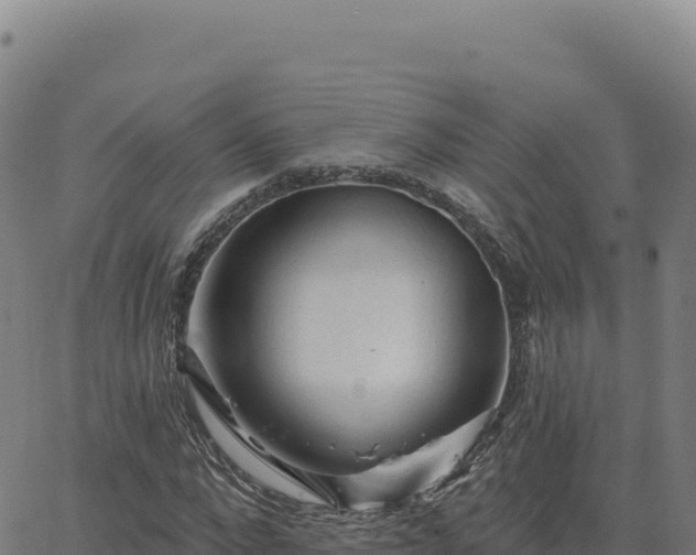 X0000063480872200601271652