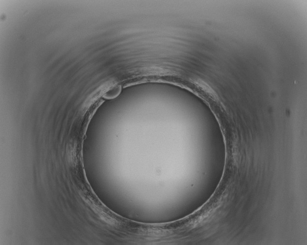 X0000063480873200601271652