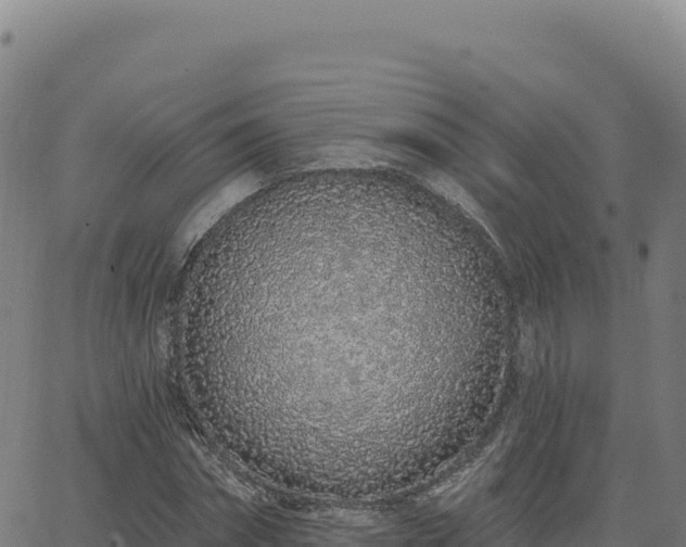 X0000063480874200601271652