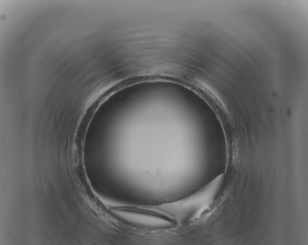 X0000063480876200601271652