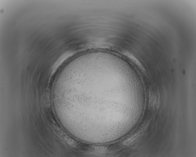 X0000063480878200601271652