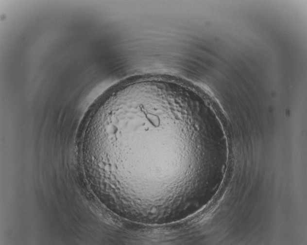 X0000063480879200601271652