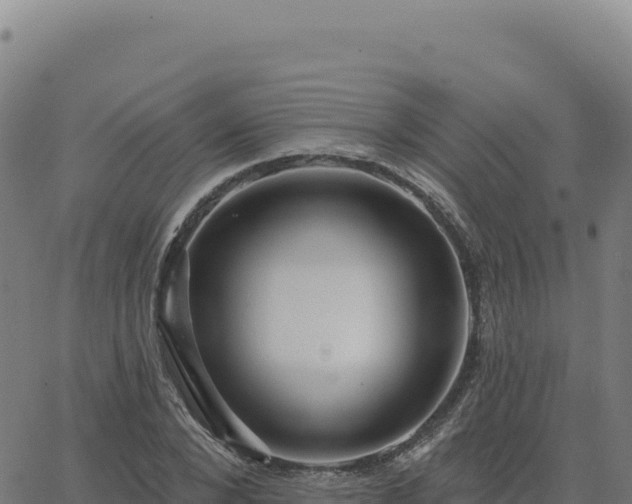 X0000063480880200601271652