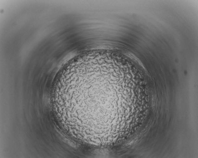 X0000063480882200601271652