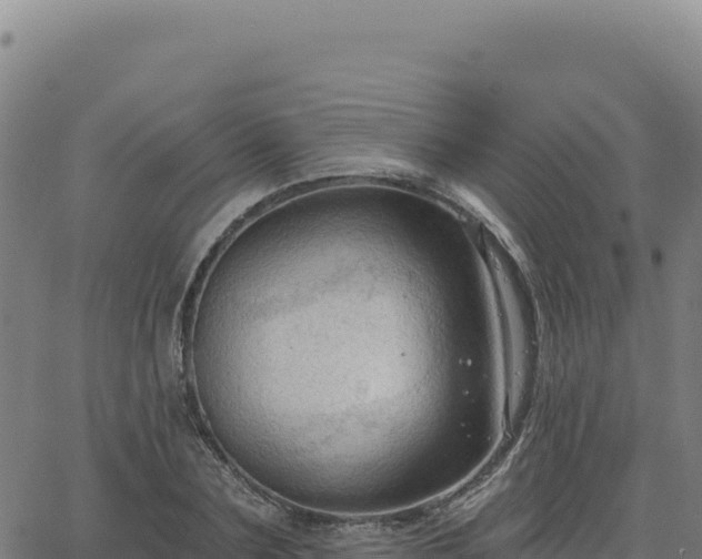 X0000063480883200601271652