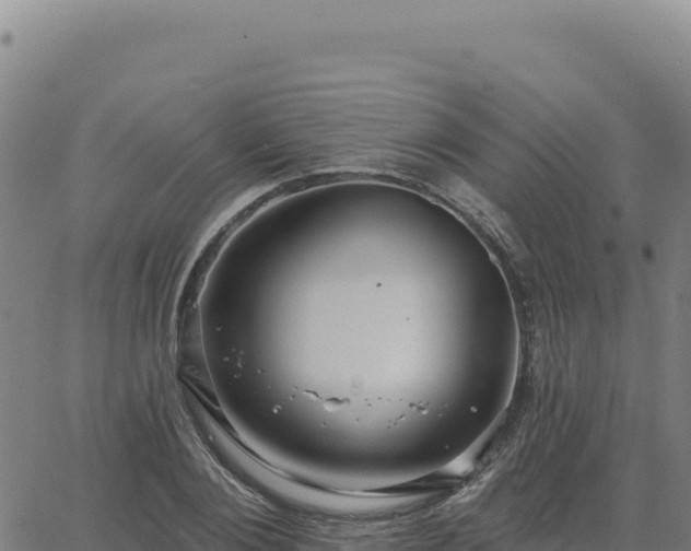 X0000063480884200601271652