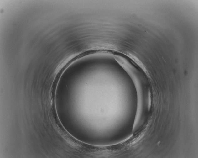 X0000063480885200601271652