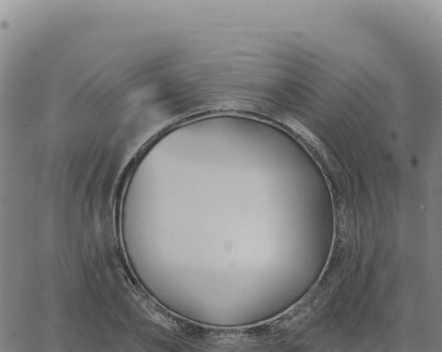 X0000063480886200601271652