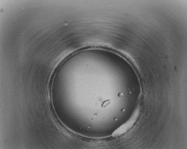 X0000063480887200601271652