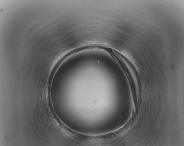 X0000063480888200601271652