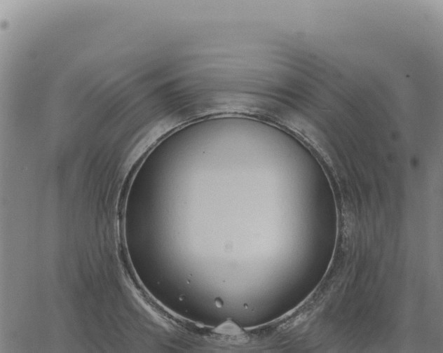 X0000063480890200601271652