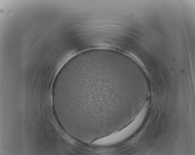 X0000063480891200601271652