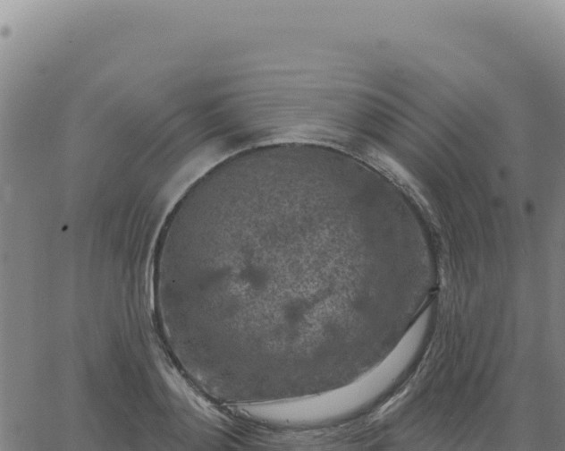 X0000063480892200601271652