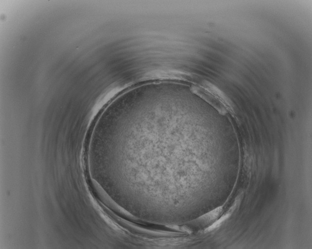 X0000063480893200601271652